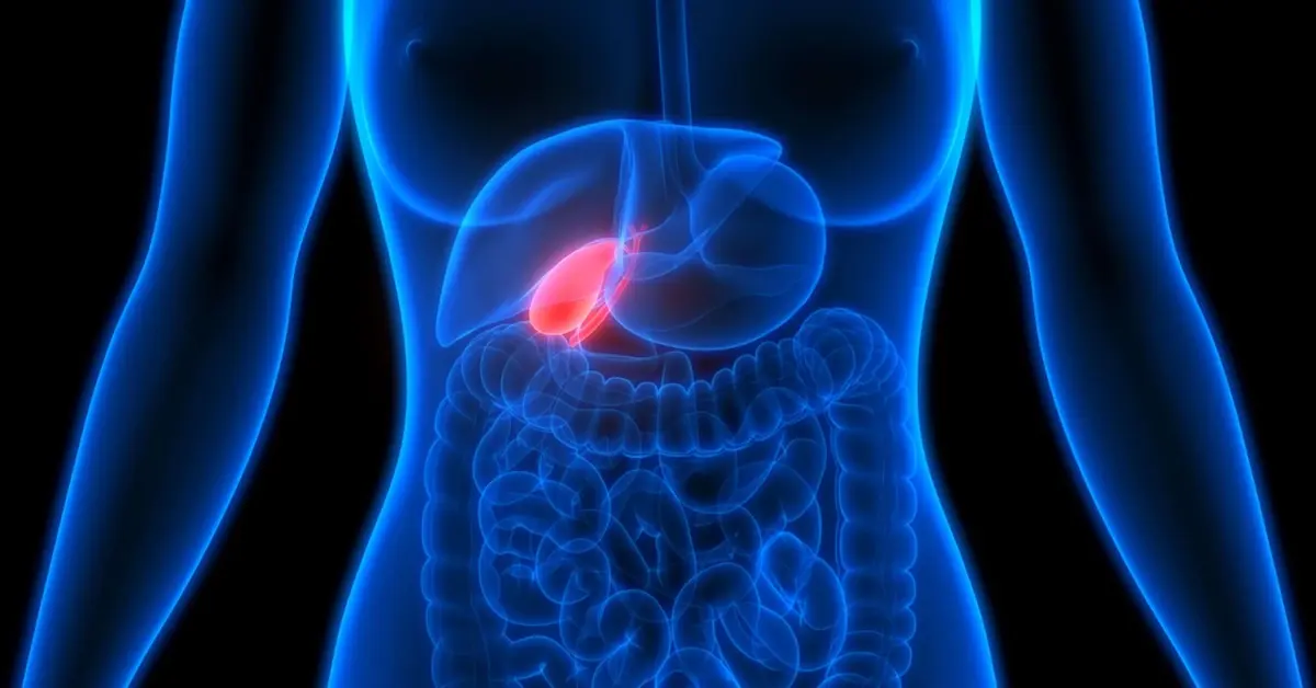 what's the function of the gallbladder